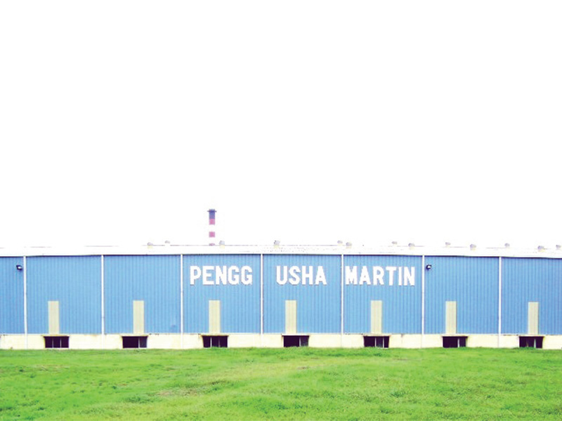 Pengg Usha Martin 12 5