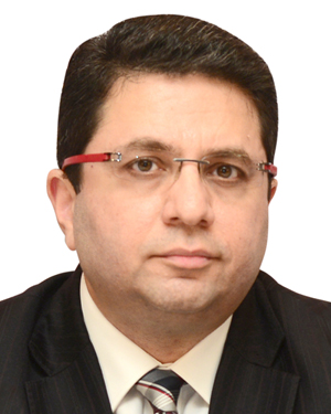 Mr. Gautam Seth Joint Managing Director HPL Electric Power Ltd. 1