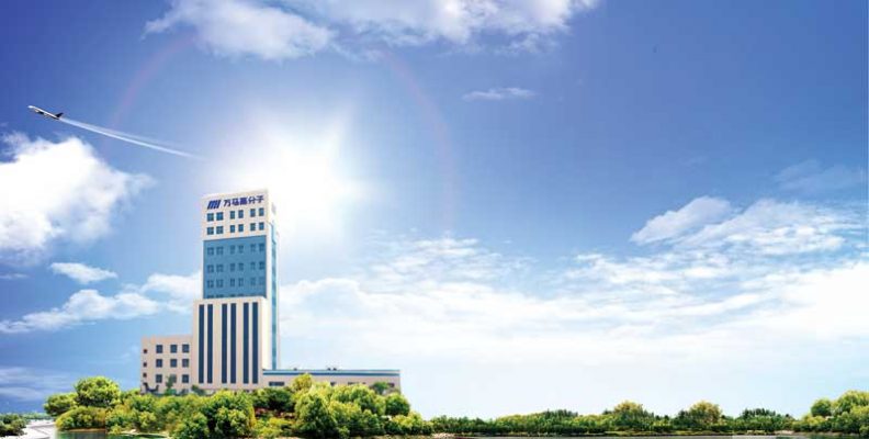 Growing at 100 Percent YoY for last 5 years, Navank Consultants ...