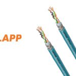 lapp