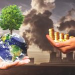 Domestic Carbon