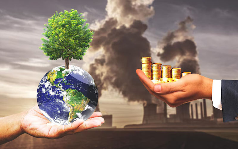 Domestic Carbon